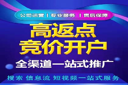 某某sem推广公司在某行业的应用与效果分析
